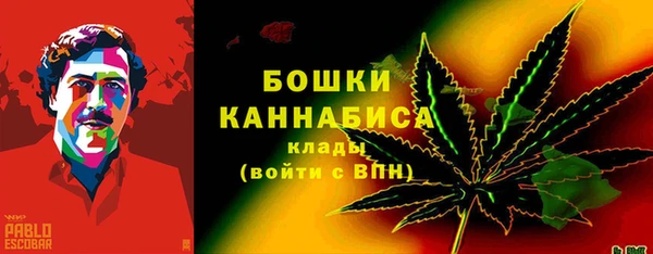 амф Белокуриха