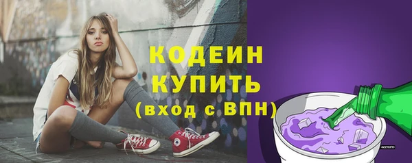 индика Белоозёрский
