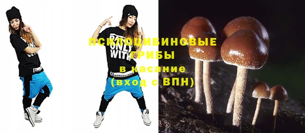 амф Белокуриха