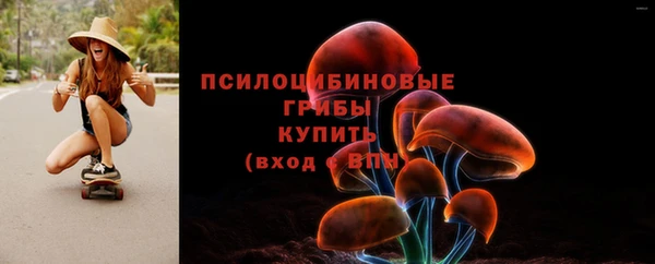 амф Белокуриха