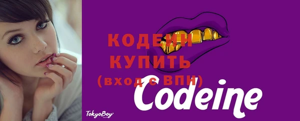 индика Белоозёрский