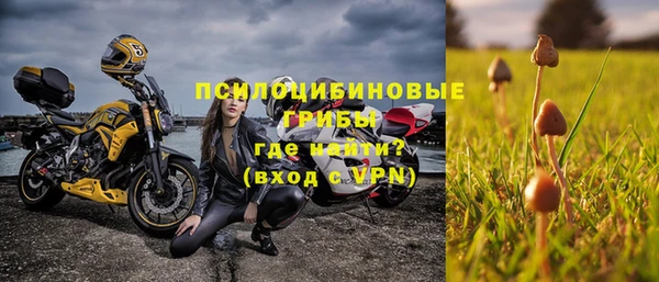 индика Белоозёрский