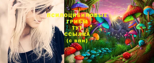 индика Белоозёрский