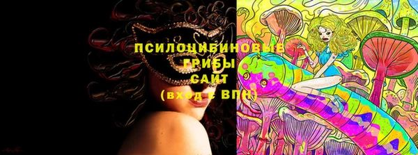 амф Белокуриха