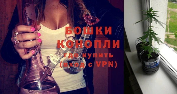 амф Белокуриха
