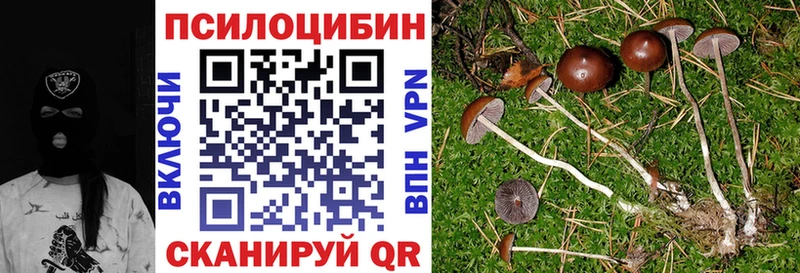 нарко площадка Telegram  МЕГА   Горно-Алтайск  Галлюциногенные грибы Psilocybe 