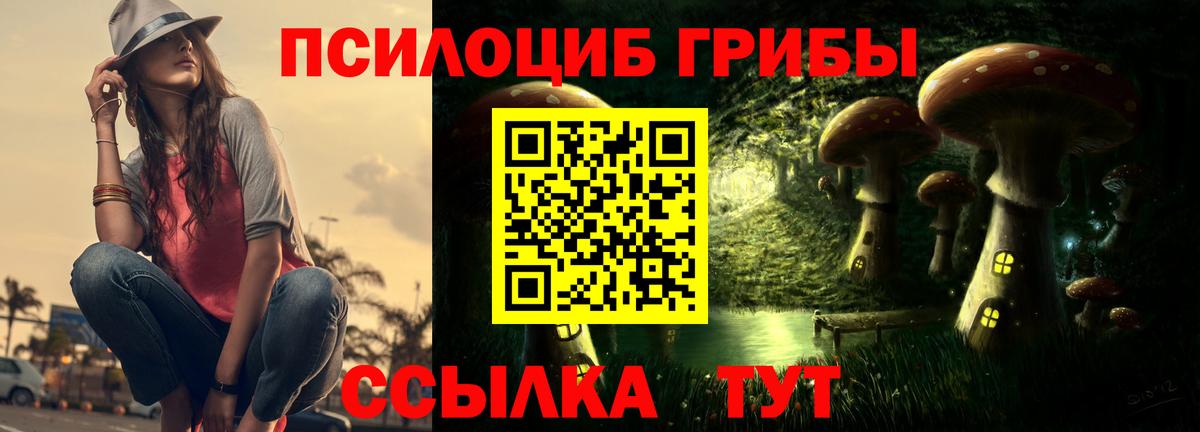 Псилоцибиновые грибы Cubensis Горно-Алтайск